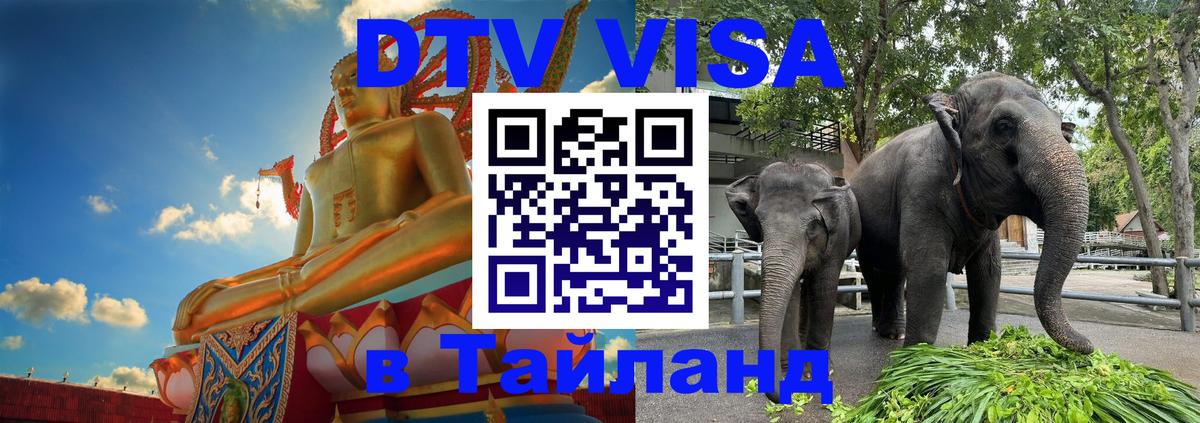 Сколько стоит DTV виза — актуальные цены, оформление даже без документов - 19.11.2025 